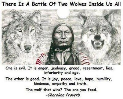 Don't be Abusive, Be the Good Wolf